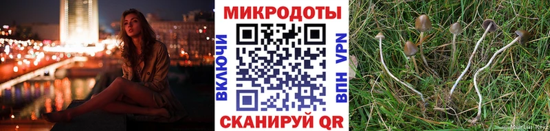 как найти   Комсомольск  Галлюциногенные грибы мухоморы 